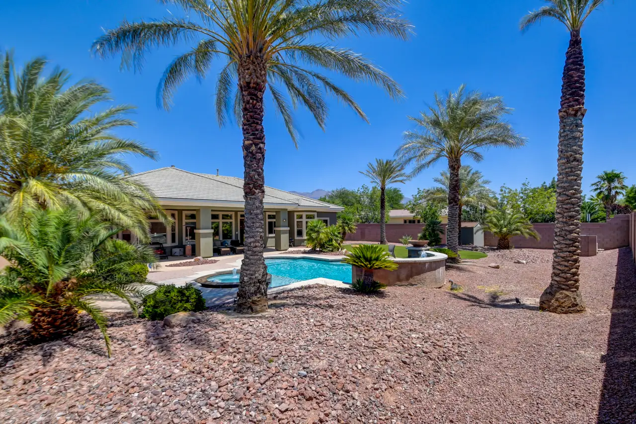 Backyard with mature palms and desert landscaping around the pool